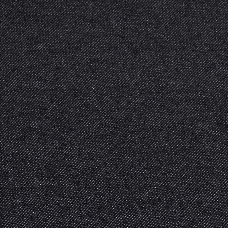 Baxton Studio Agatha Vintage Black Canvas 2-Drawer Storage Trunk
