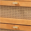 Baxton Studio Jenn Brown Wood 3-Piece Storage Set