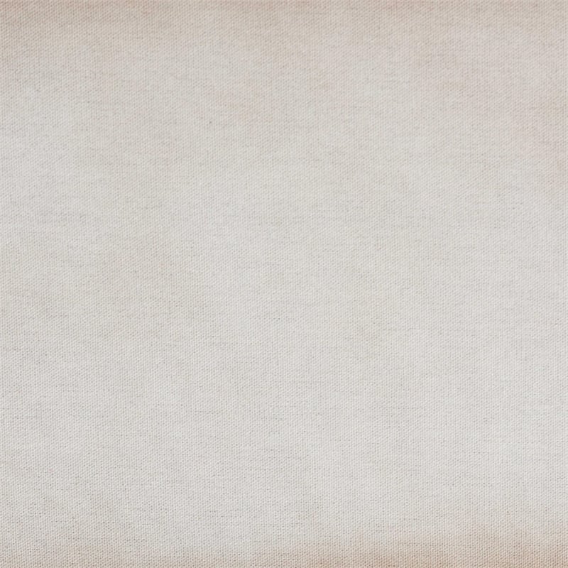 Baxton Studio Nevio Vintage Weathered White Canvas Storage Trunk