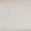 Baxton Studio Nevio Vintage Weathered White Canvas Storage Trunk