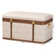 Baxton Studio Brenner Modern Transitional Beige Faux Shagreen Storage Trunk