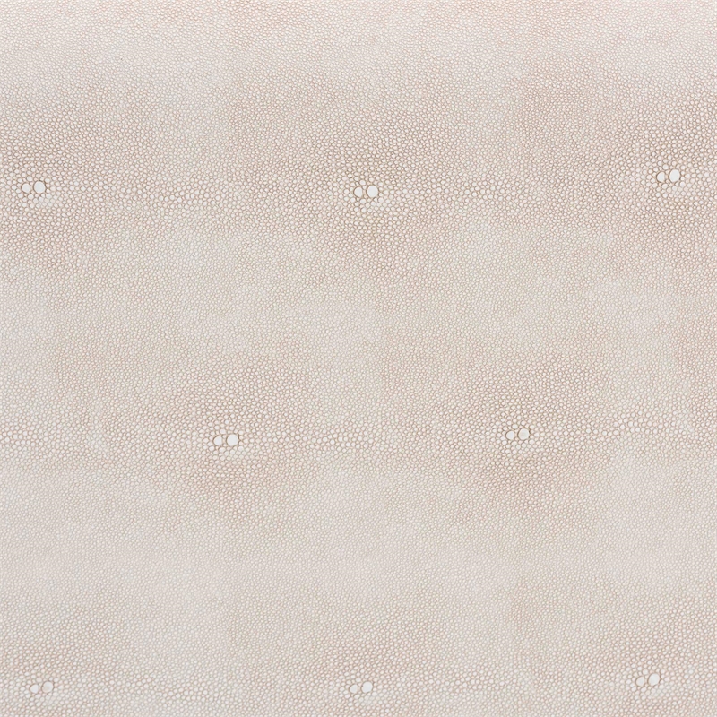 Baxton Studio Brenner Modern Transitional Beige Faux Shagreen Storage Trunk