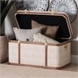 Baxton Studio Brenner Modern Transitional Beige Faux Shagreen Storage Trunk
