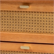 Baxton Studio Jenn Brown Wood Japandi 2-Drawer Nightstand