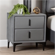 Baxton Studio Etienne Modern Slate Gray Velvet 2-Drawer Nightstand