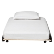 Baxton Studio Lucera Trundle Underbed Low Profile Rolling Base Twin Black
