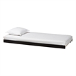 Baxton Studio Lucera Trundle Underbed Low Profile Rolling Base Twin Black
