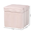 Baxton Studio Paulina Velvet Storage Ottoman Lid Top Accent Stool Light Pink