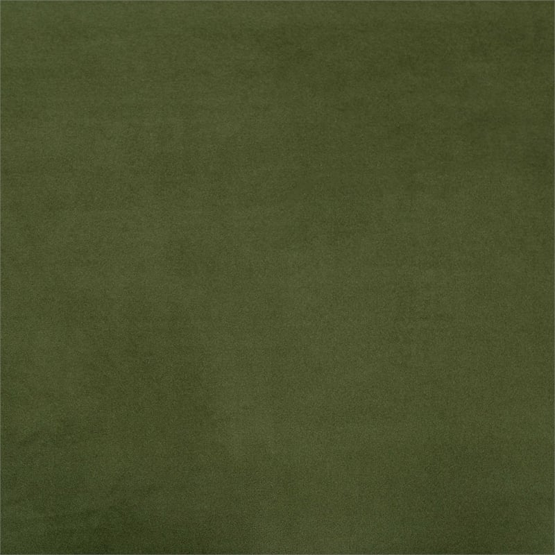 Baxton Studio Paulina Velvet Storage Bench Lift Top Accent Bench Moss Green