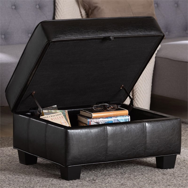 Agustus Storage Ottoman in Dark Brown
