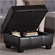 Agustus Storage Ottoman in Dark Brown