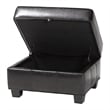 Agustus Storage Ottoman in Dark Brown