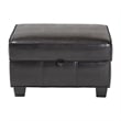 Agustus Storage Ottoman in Dark Brown
