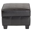 Agustus Storage Ottoman in Dark Brown