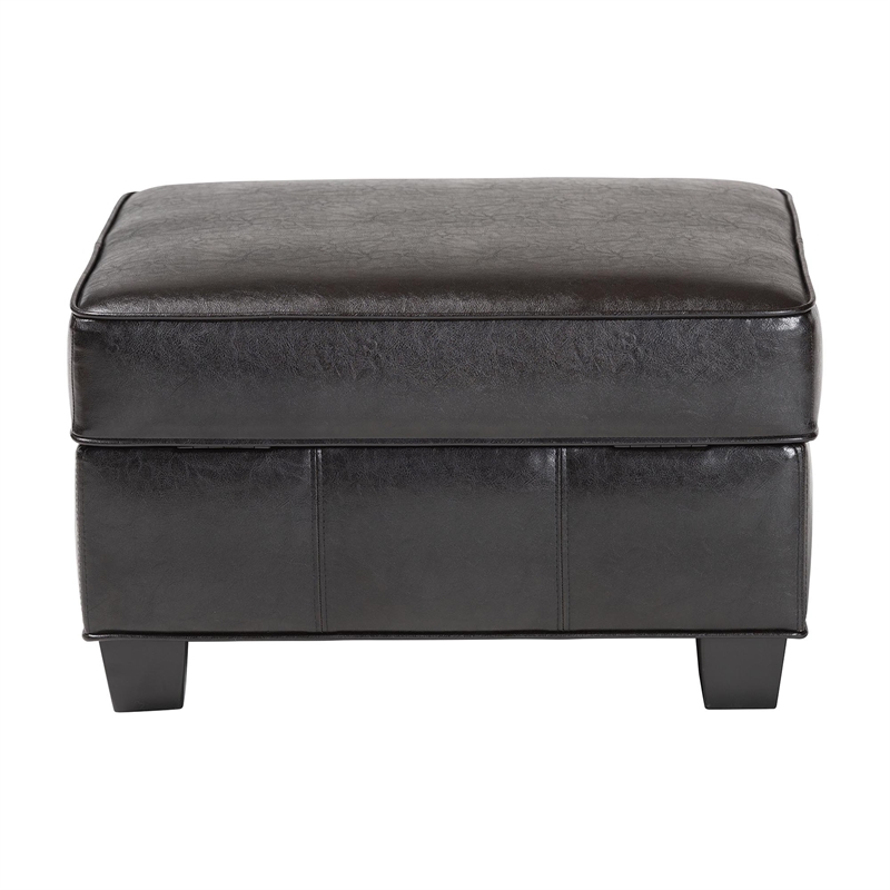 Agustus Storage Ottoman in Dark Brown