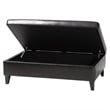 Baxton Studio Sandusky Leather Storage Cocktail Ottoman in Dark Brown