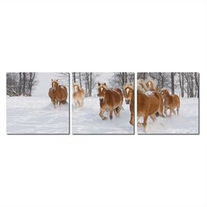 horse herd mounted print triptych in multicolor