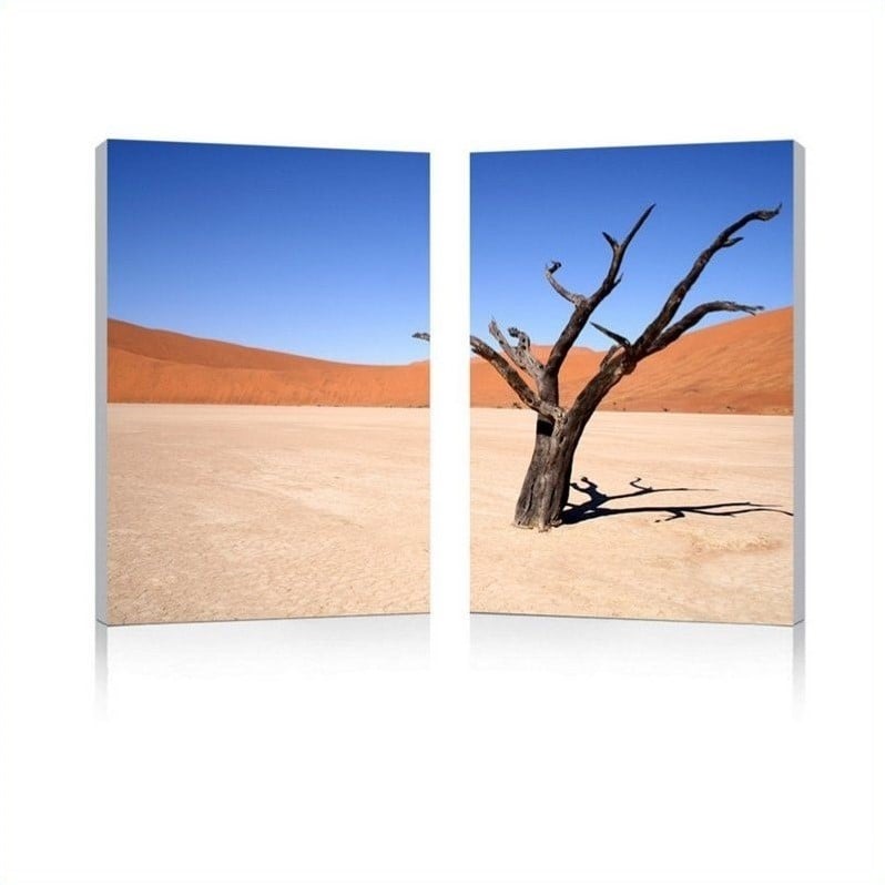 Desert Solitude Mounted Print Diptych in Multicolor