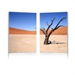 Desert Solitude Mounted Print Diptych in Multicolor