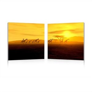 glorious giraffes mounted print diptych in multicolor