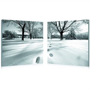 Telltale Trail Mounted Print Diptych in Multicolor