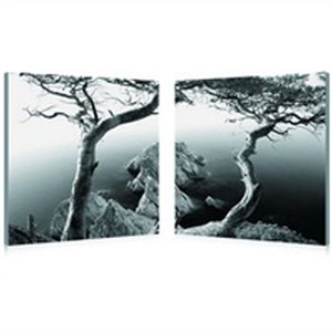rocky shore mounted print diptych in multicolor