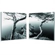 Rocky Shore Mounted Print Diptych in Multicolor