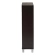 Simms Shoe Cabinet in Dark Brown