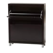 Simms Shoe Cabinet in Dark Brown