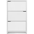 Simms Shoe Cabinet in White