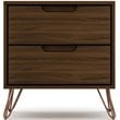 Manhattan Comfort Rockefeller 2-Drawer Wood Nightstand in Brown