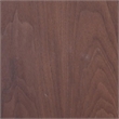 Manhattan Comfort Brookside AshWood Veneer End Table in Walnut Brown