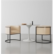 Manhattan Comfort Cosmopolitan Faux Leather Dining Chair in Tan (Set of 2)