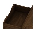 Manhattan Comfort Rockefeller 2-Drawer Wood Nightstand in Brown (Set of 2)