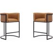 Manhattan Comfort Cosmopolitan 25.5