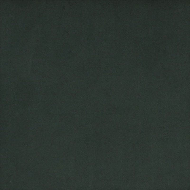 Manhattan Comfort Paramount Velvet Accent Armchair in Green/Polished Brass