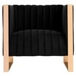 Manhattan Comfort Trillium Velvet Upholstered Accent Chair in Black