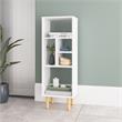 Manhattan Comfort Essex 5 Shelves Engineered Wood Bookcase in White/Zebra