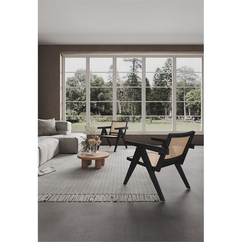 Manhattan Comfort Hamlet Wood Accent Chair in Black (Set of 2)