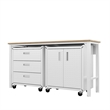 Manhattan Comfort Fortress 3-Piece Wood Garage Cabinet Set 3.0 in White