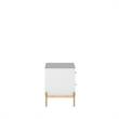 Manhattan Comfort Jasper Engineered Wood Nightstand in White Gloss/Gold