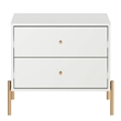 Manhattan Comfort Jasper Engineered Wood Nightstand in White Gloss/Gold