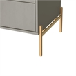Manhattan Comfort Jasper Engineered Wood Nightstand in Gray Gloss/Gold