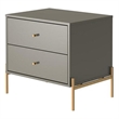 Manhattan Comfort Jasper Engineered Wood Nightstand in Gray Gloss/Gold