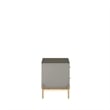 Manhattan Comfort Jasper Engineered Wood Nightstand in Gray Gloss/Gold