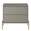 Manhattan Comfort Jasper Engineered Wood Nightstand in Gray Gloss/Gold
