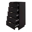 Manhattan Comfort Granville Tall & Narrow Engineered Wood Dresser in Black