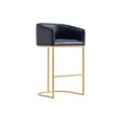 Manhattan Comfort Louvre Upholstered Barstool with Steel Base in Black