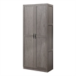 Manhattan Comfort Hopkins Storage Closet 3.0 from Engineered Wood in Gray