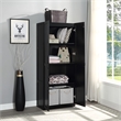 Manhattan Comfort Hopkins Storage Closet 3.0 from Engineered Wood in Black